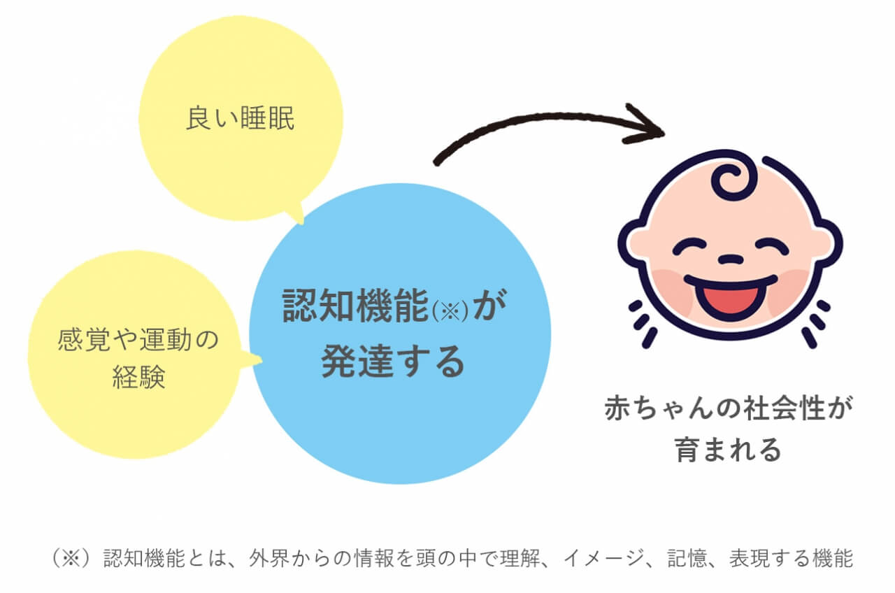 医師監修 赤ちゃんに睡眠が必要な理由 妊娠 出産 マタニティ情報サイト ニンプス