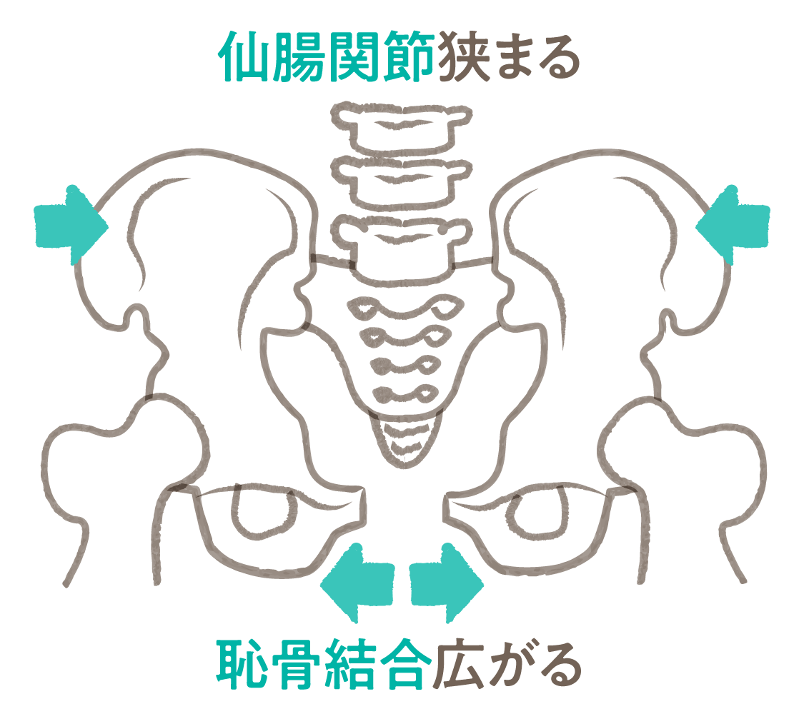 初期 妊娠 痛 超 関節